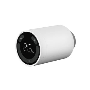Radiator thermostats