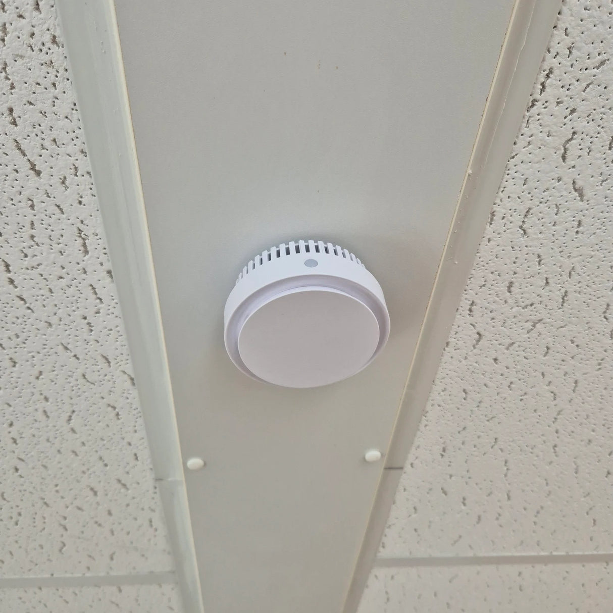 Zigbee Rauchmelder 5er-Set inkl. Gateway