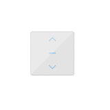 Glass cover roller shutter switch Venus